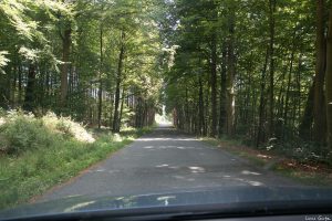 Noch eine Landstraße.