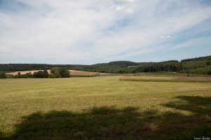 Blick aus dem Autofenster I