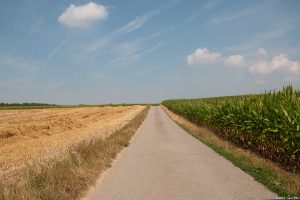 Straße in den Westen