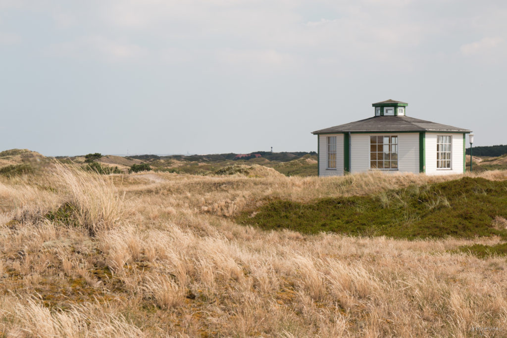 Haus im Grasmeer